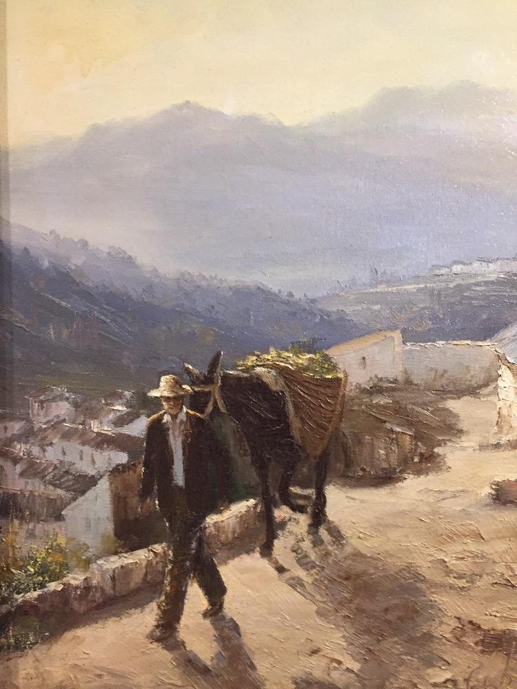 Spanish man with his donkey