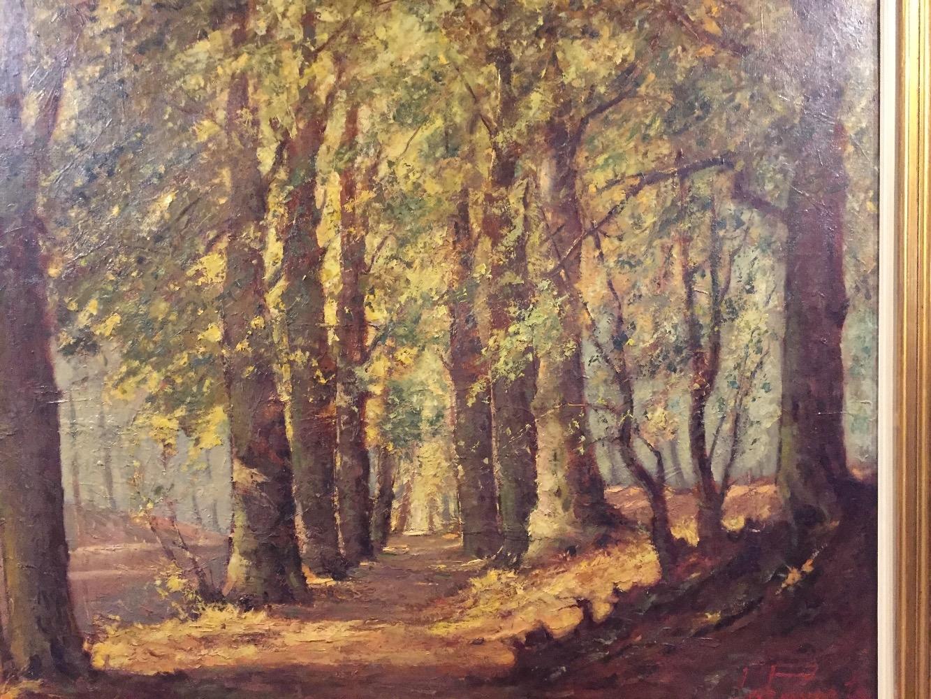 Forest in the summertime