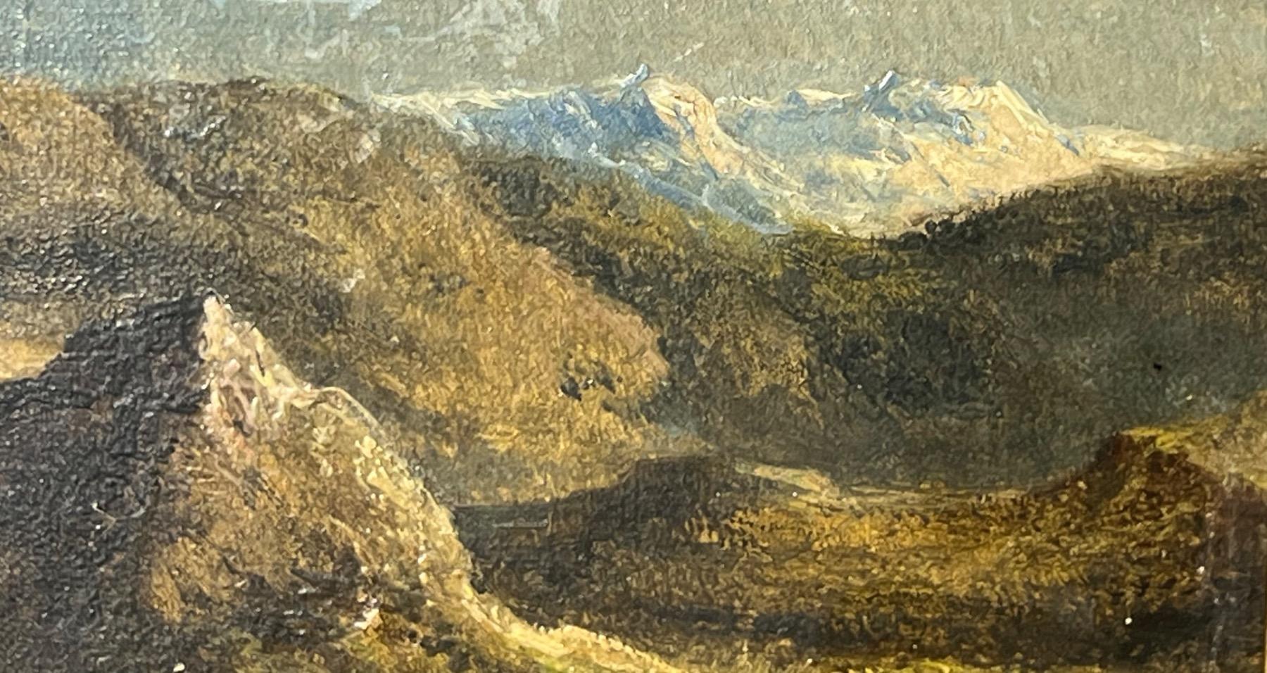 A pair of mountainviews ( oil on panel )