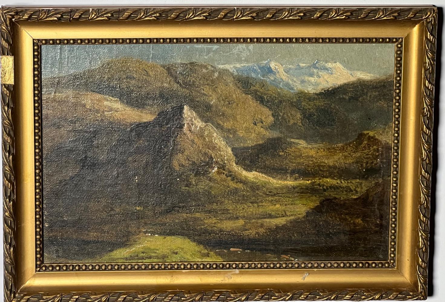 A pair of mountainviews ( oil on panel )