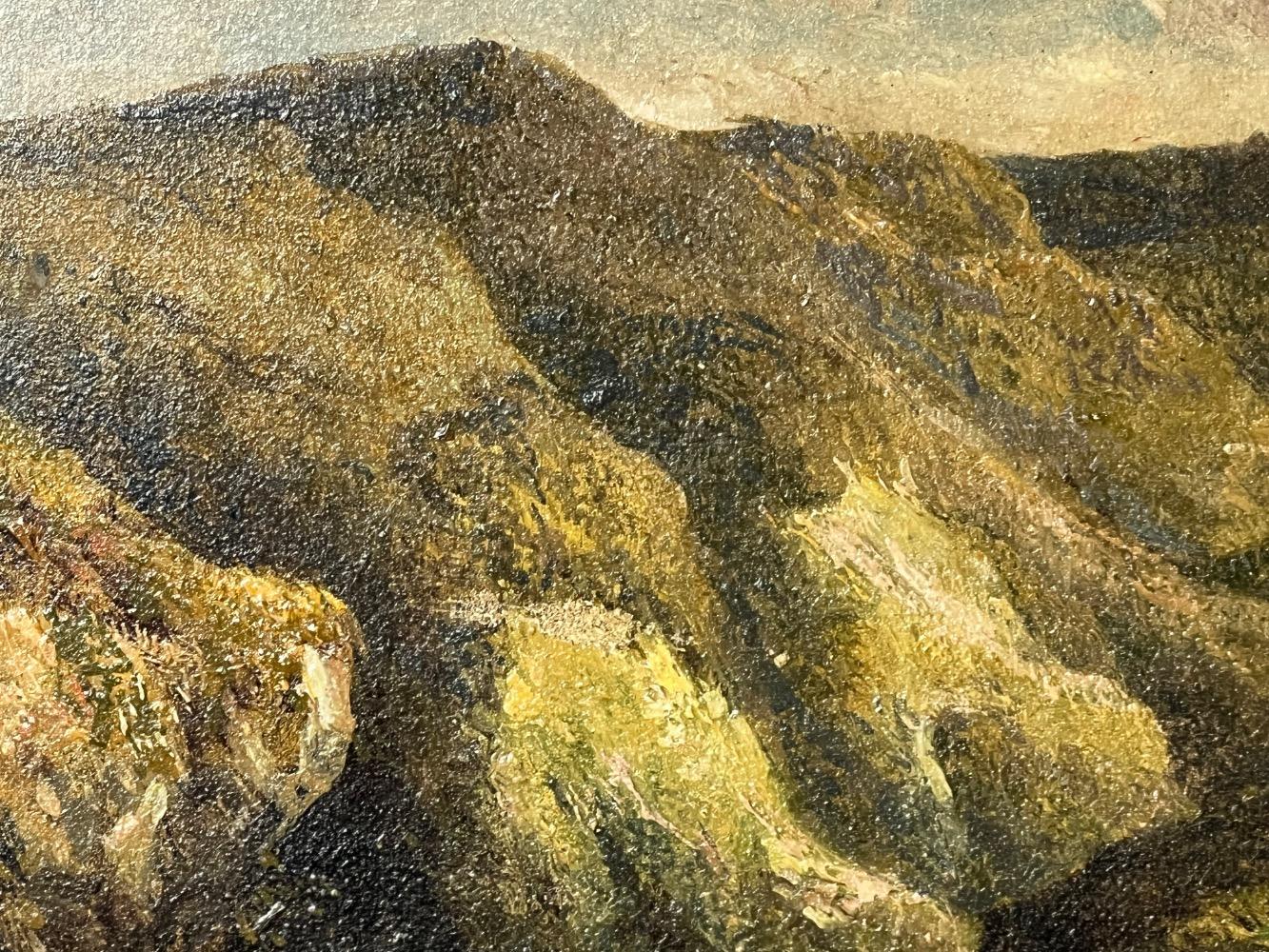 A pair of mountainviews ( oil on panel )