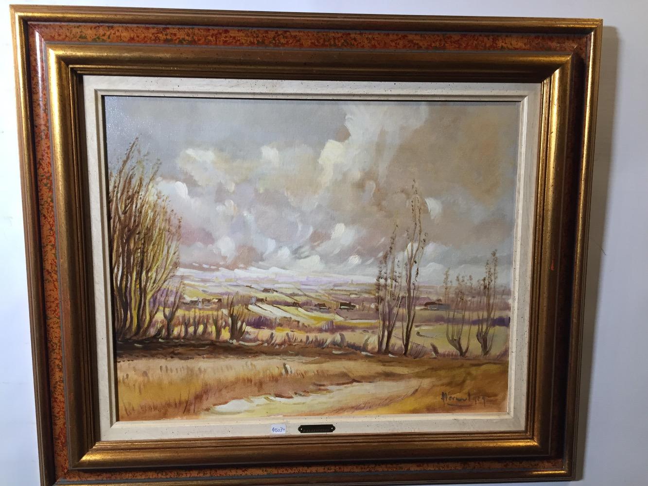 Landscape in Dutch Flanders 