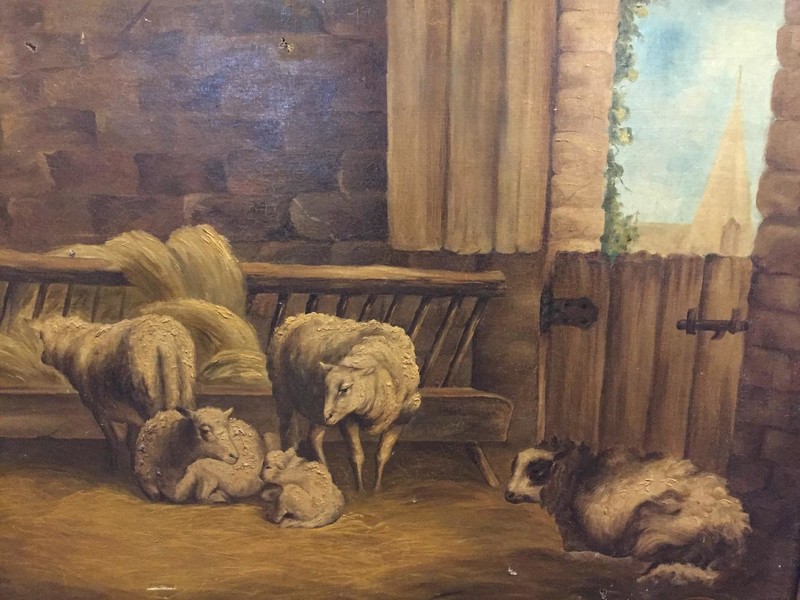 Sheep in the stable 