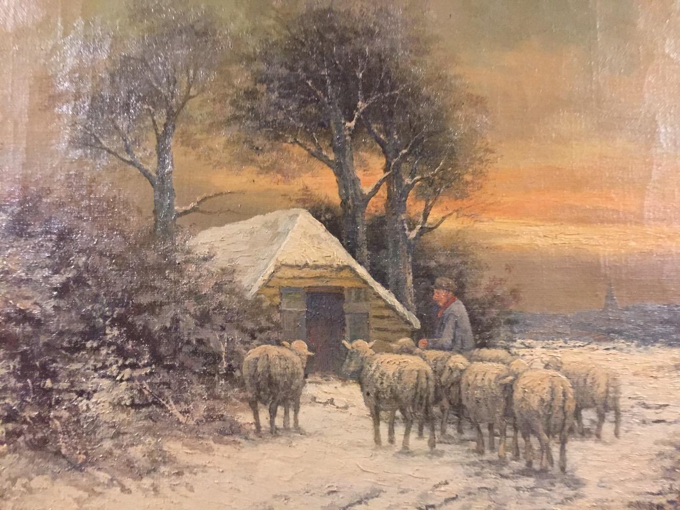 Sheep in the snow