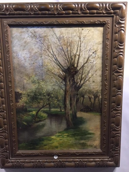 Trees along the canal 