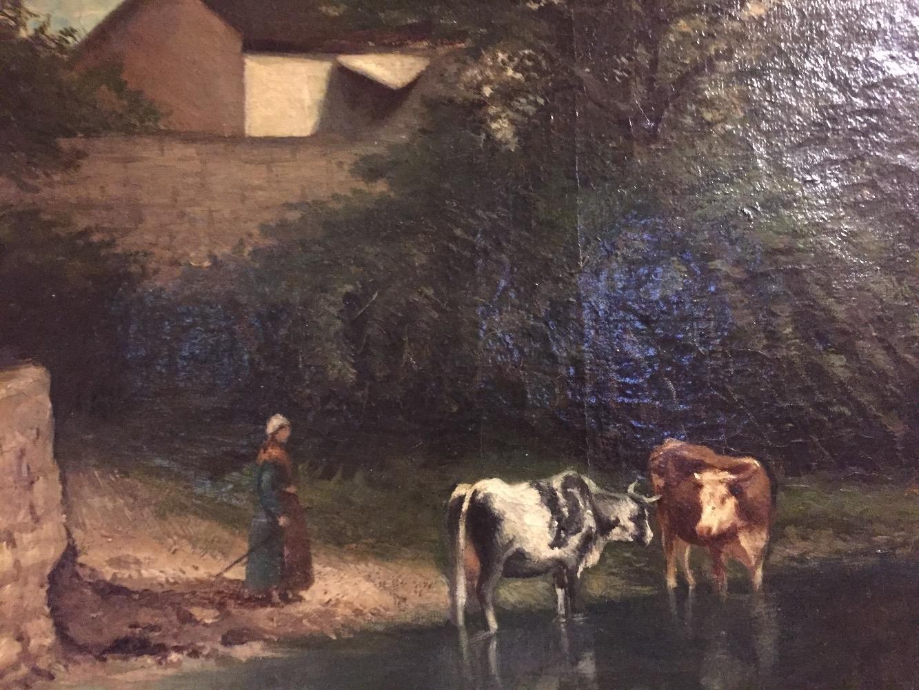 The shepherd with her drinking cows