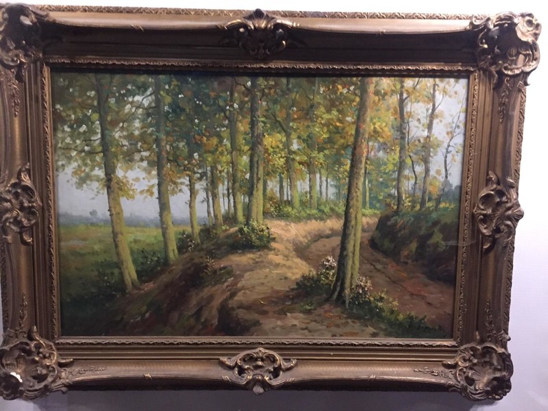 Summertime in the forest 