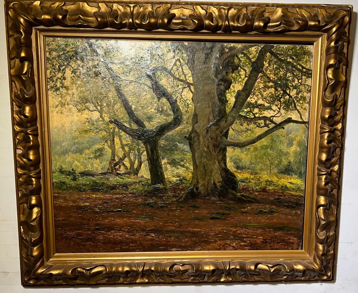 The forest 