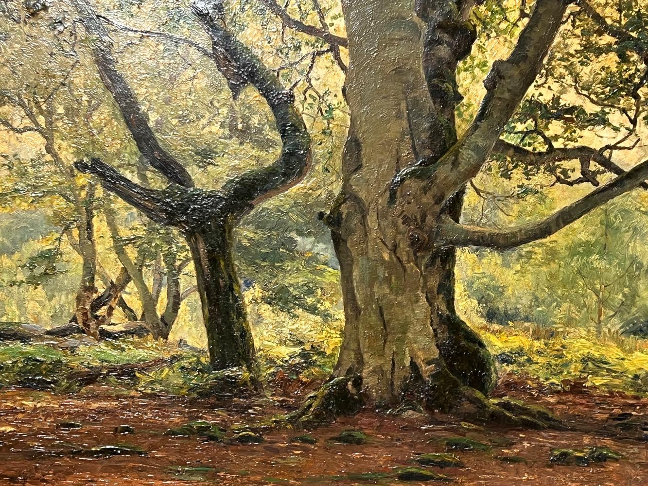 The forest 