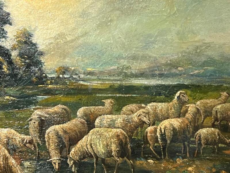 Drinking sheep ( oil on canvas )