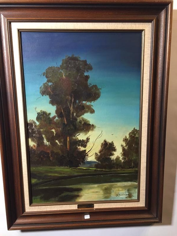 The lake in the summertime 