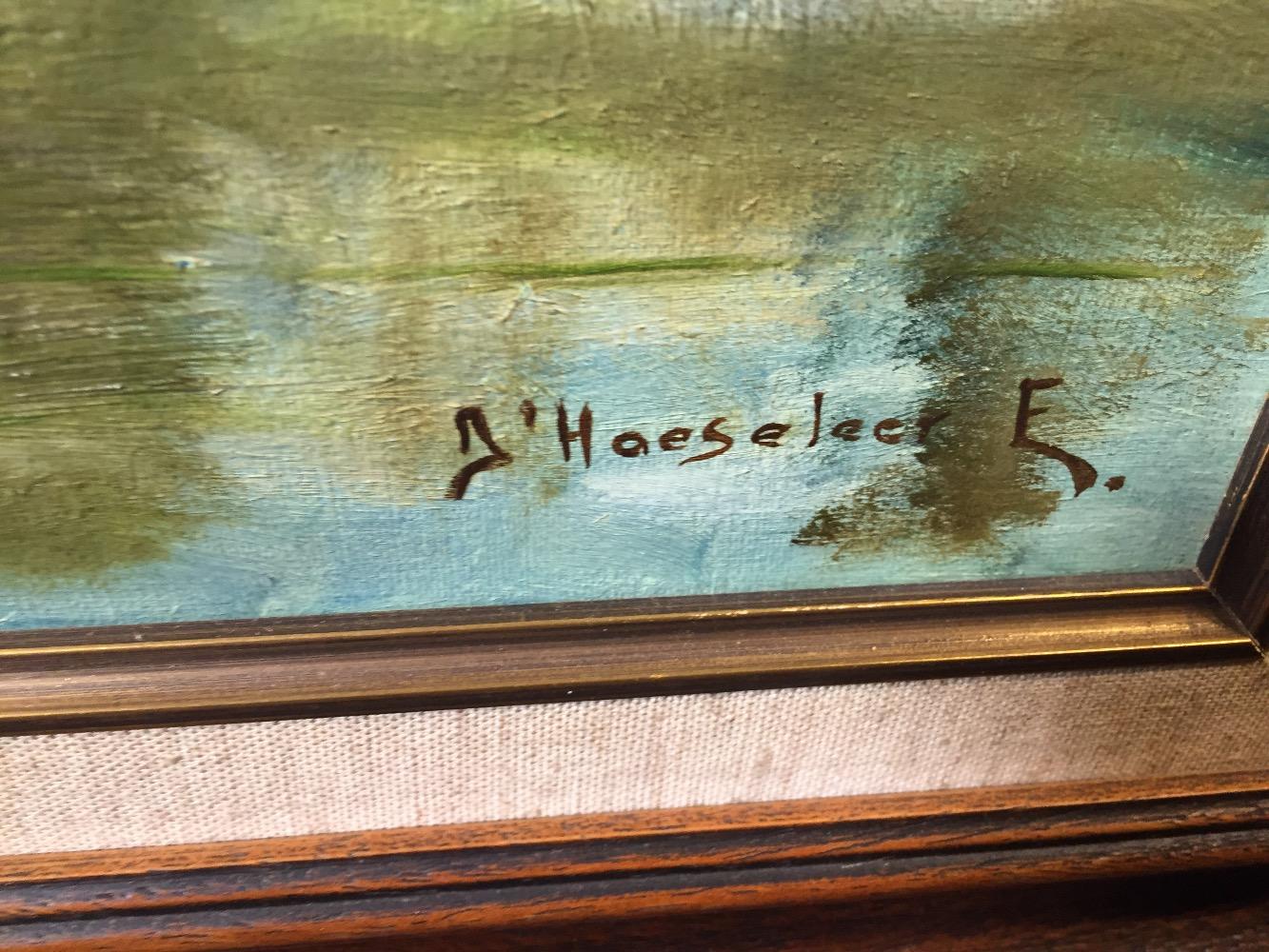 The lake in the summertime 