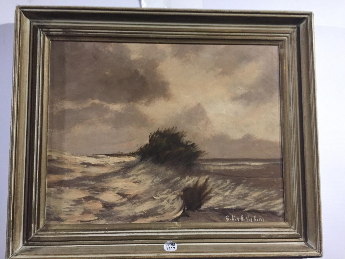 The dunes in Flanders