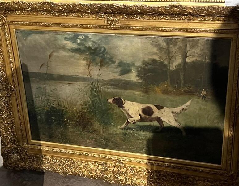 Hunting dog