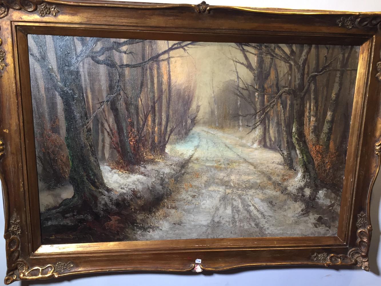 Forest in the wintertime 