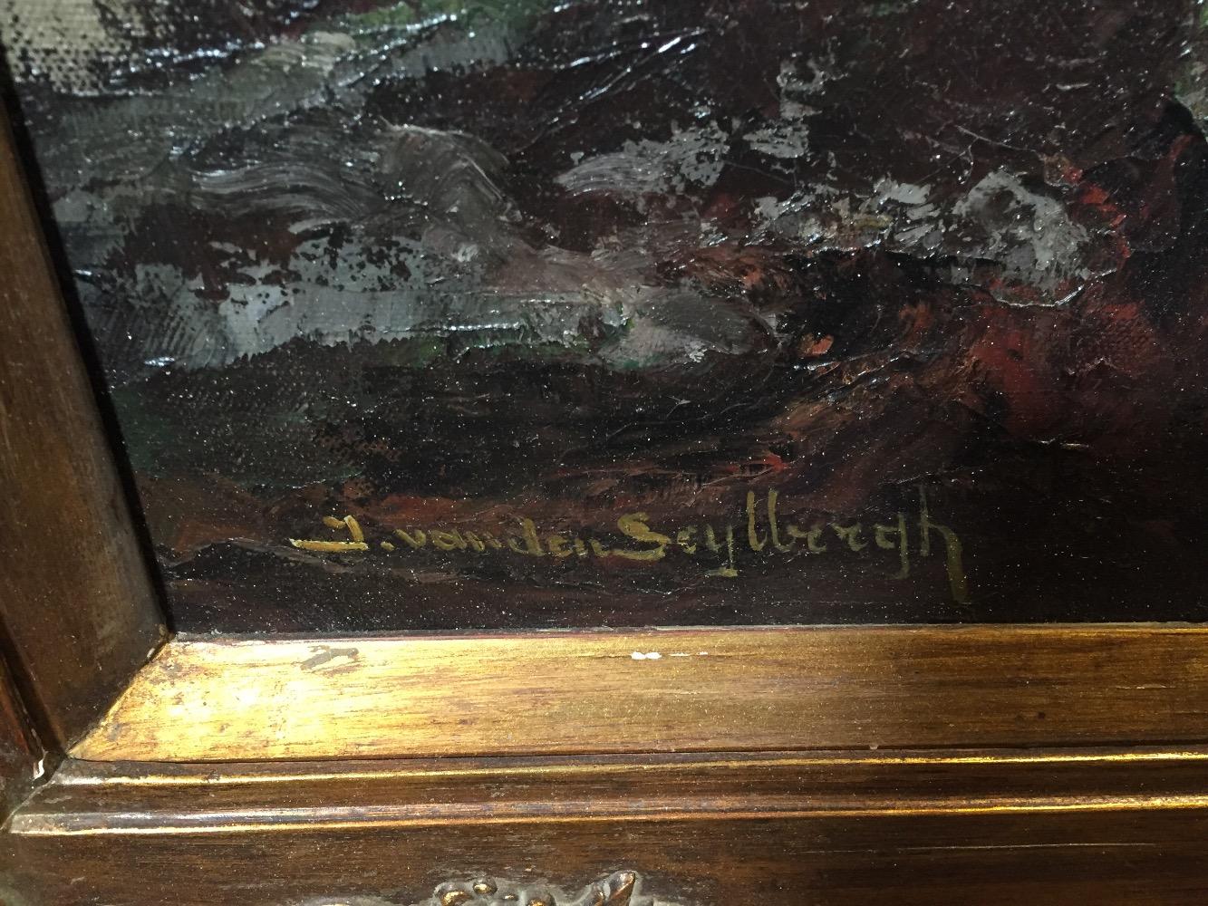 Forest in the wintertime 