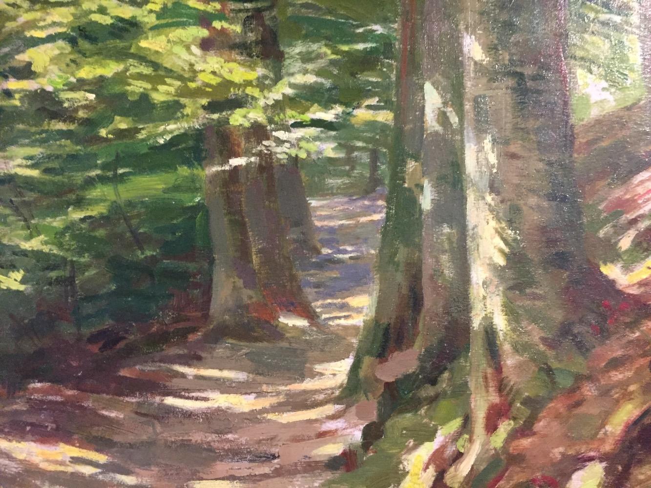 Forest in the summer 