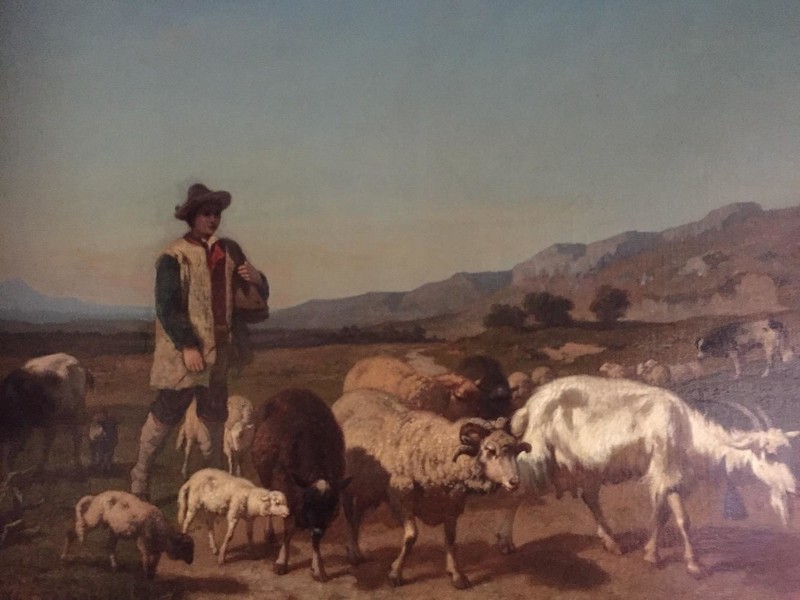 Shepherd with his sheep , a goat and his dog