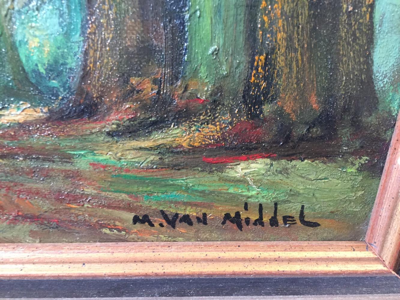 The forest in the summertime 