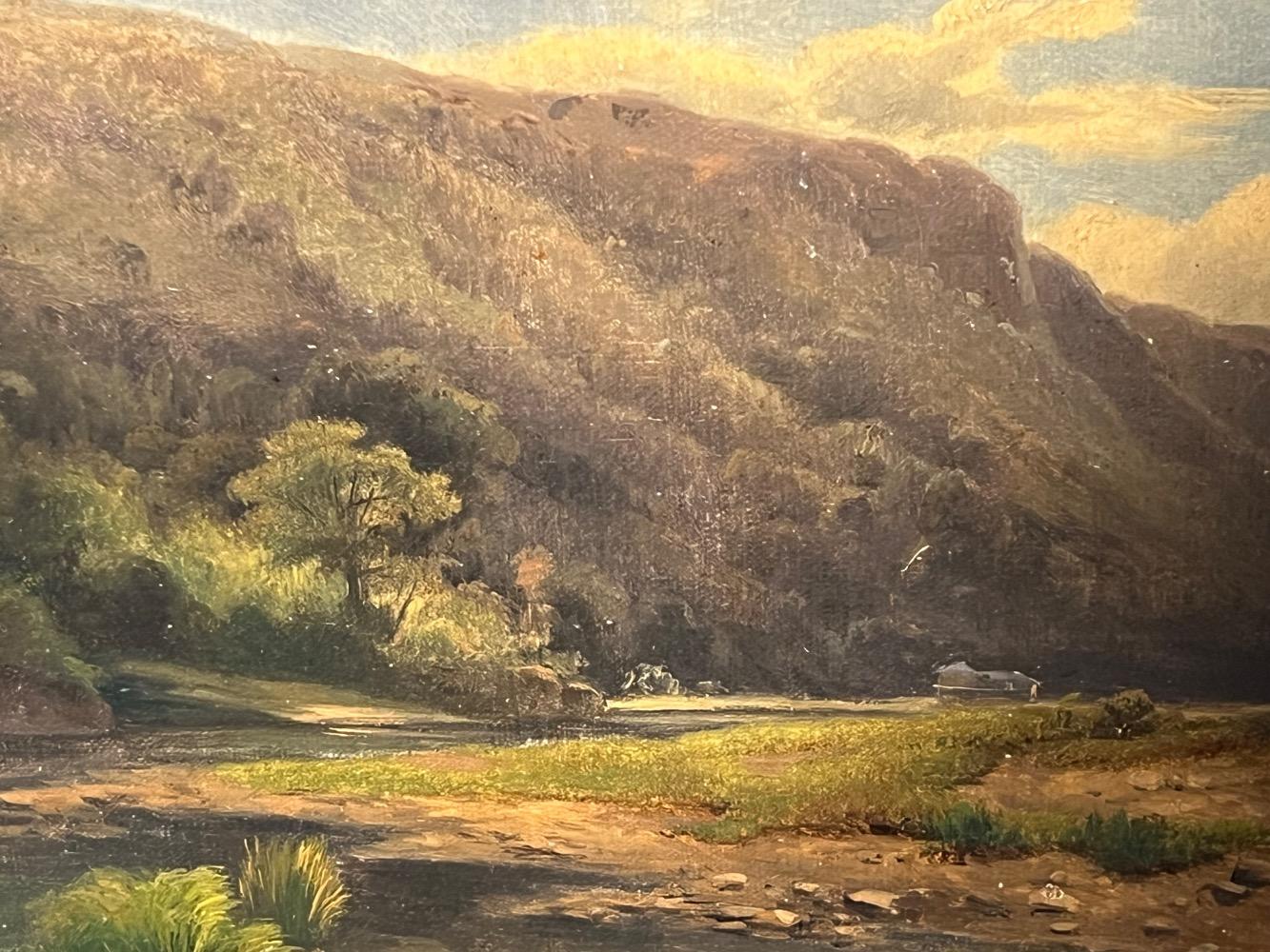 Moutainview ( oil on canvas on board )