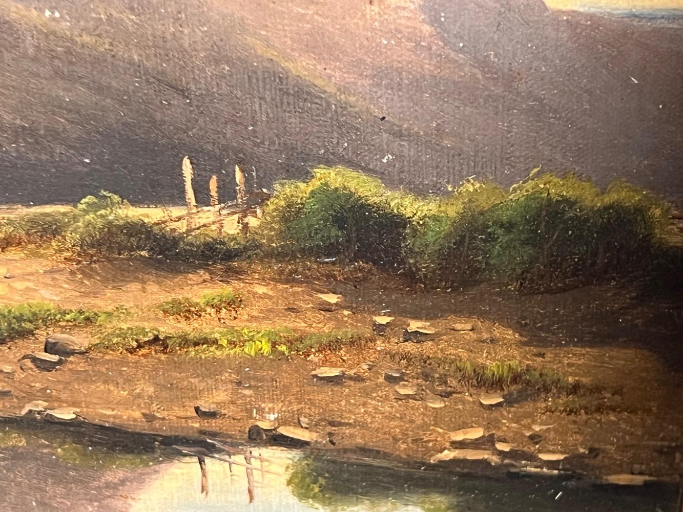 Moutainview ( oil on canvas on board )