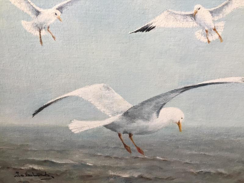 Seagulls ( oil on canvas)