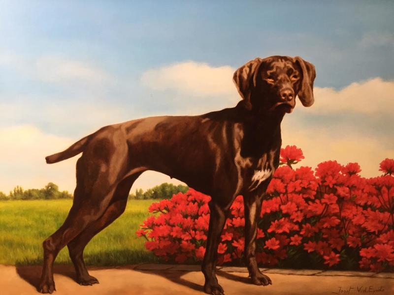 The brown dog (oil on panel)