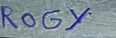 The carrousel ( oil on paper on board )