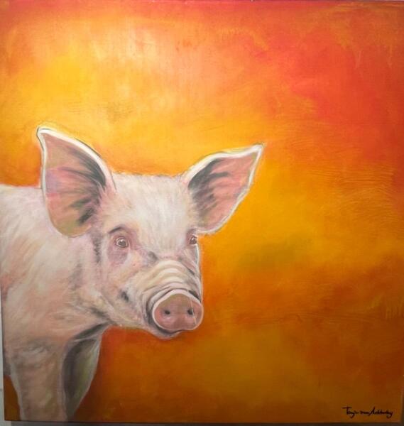 The curious piglet ( oil on canvas)