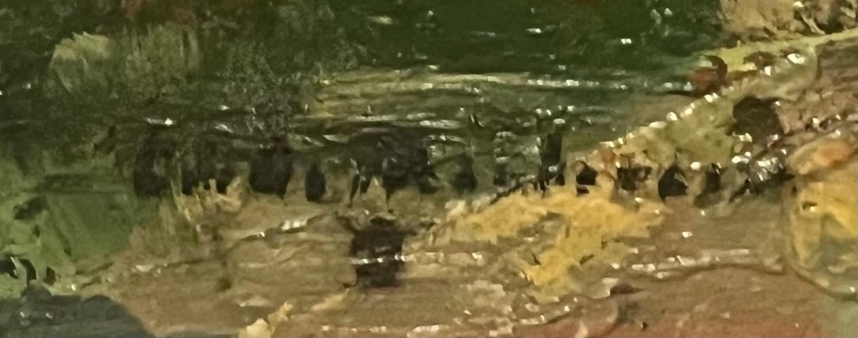 The entrance of the castle ( oil on panel )