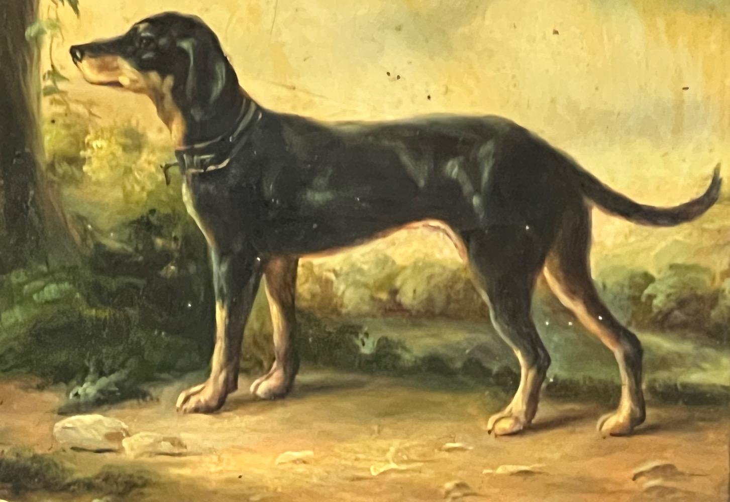 The happy dog ( oil on panel )