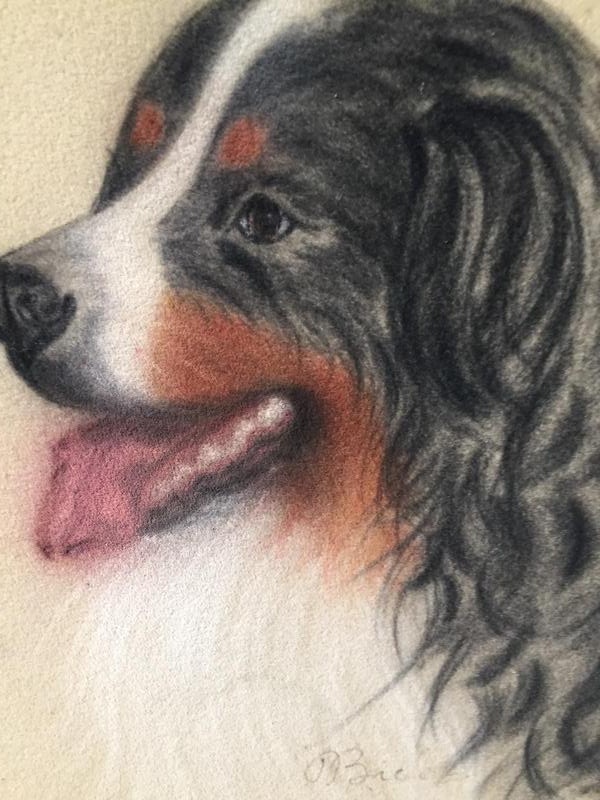The happy dog ( chalk on velvet)