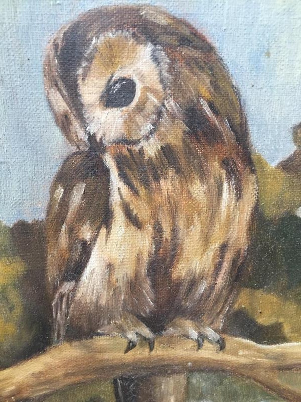 The owl ( oil on canvas )