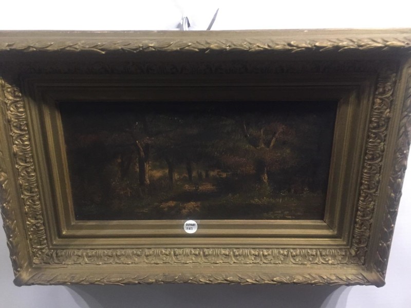 Women walking in the forest 